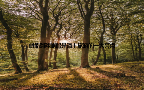 帆船翱翔帆船是海上旅游的一大亮点