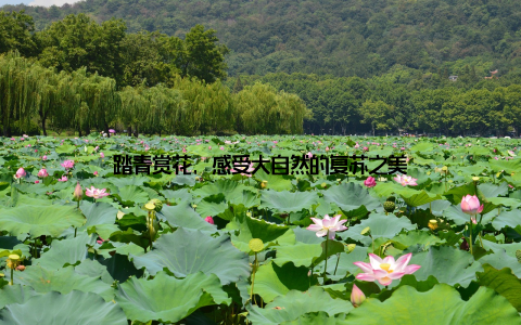 踏青赏花, 感受大自然的复苏之美