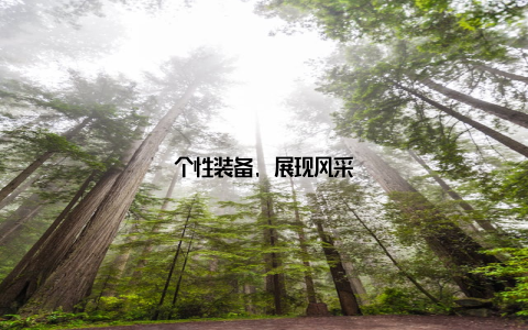 个性装备, 展现风采