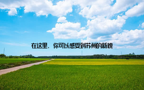在这里, 你可以感受到苏州的新貌