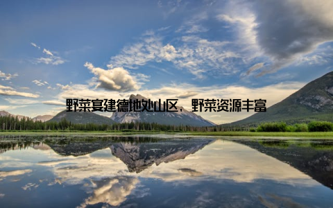 野菜宴建德地处山区, 野菜资源丰富