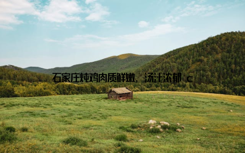 石家庄炖鸡肉质鲜嫩, 汤汁浓郁 c