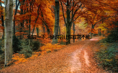 品尝一下, 绝对会让你欲罢不能