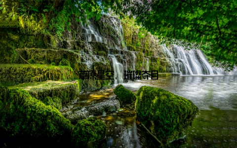 草原星空, 璀璨夺目