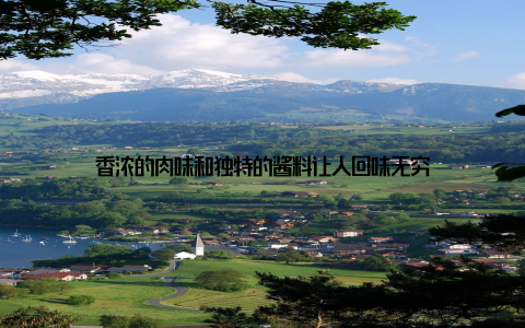 香浓的肉味和独特的酱料让人回味无穷