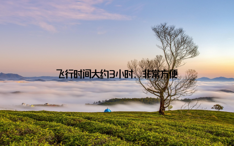 飞行时间大约3小时, 非常方便