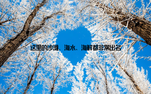 这里的沙滩、海水、海鲜都非常出名