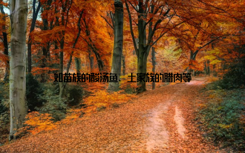 如苗族的酸汤鱼、土家族的腊肉等