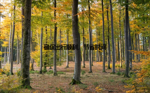 确保出行顺利, 节省时间