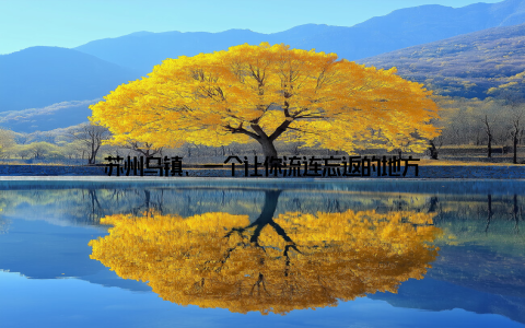 苏州乌镇, 一个让你流连忘返的地方